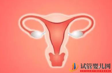 不著床總移植失敗70%的原因是因?yàn)檫@個!(圖2)