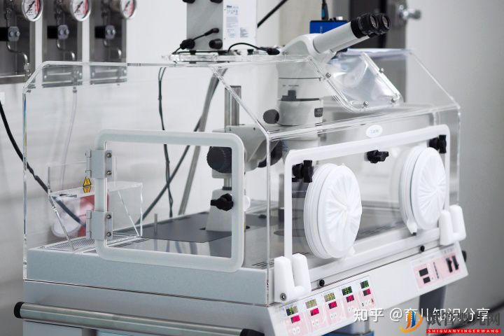 試管一代二代三代的區別費用在多少(圖1)