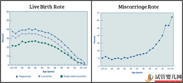 試管嬰兒網:試管嬰兒卵子質量完整指南-卵子質量完整攻略(圖14) 試管嬰兒卵子質量完整指南-卵子質量完整攻略(圖7)