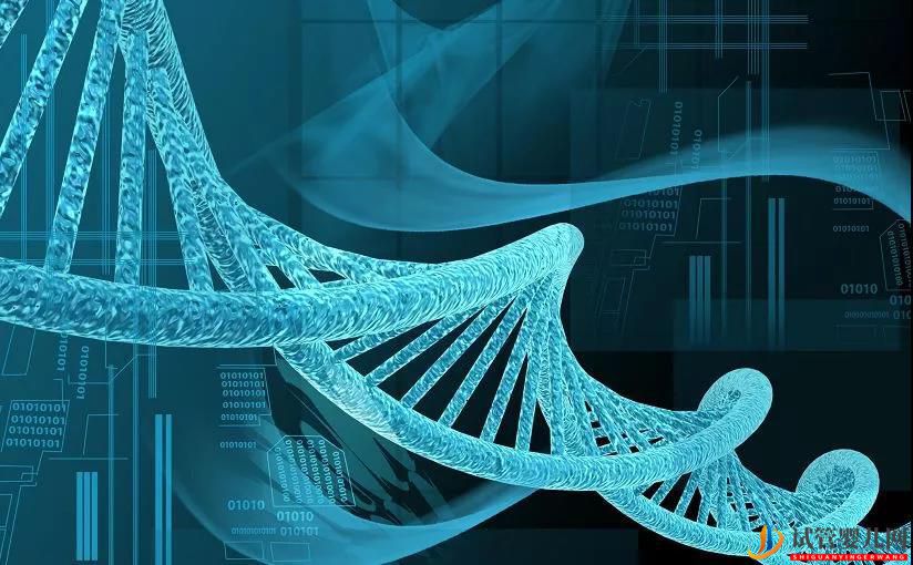 一代二代才幾萬，三代試管一次卻要十幾萬？相差甚大那貴在哪兒？(圖1)