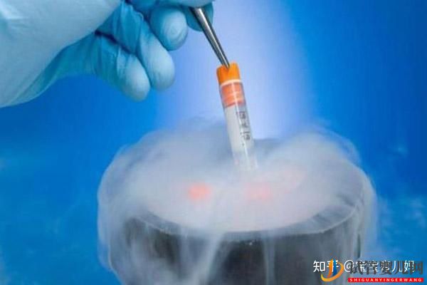 三代試管嬰兒一次成功率高嗎(圖3)