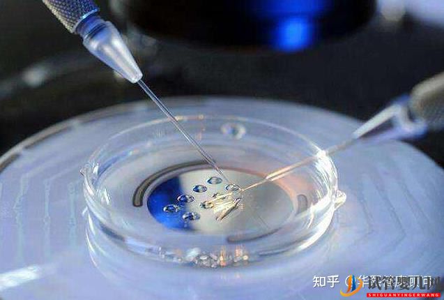 上海做試管嬰兒費用大約多少錢三代試管嬰兒成功率(圖3)