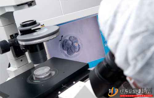 依賴人工干預的三代試管技術,對高齡求子(圖4)