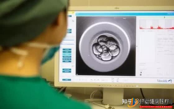 依賴人工干預的三代試管技術,對高齡求子(圖5)