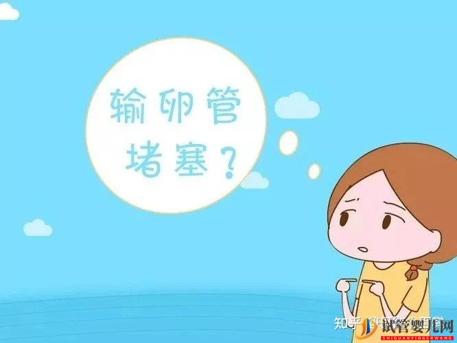 右側(cè)輸卵管通而不暢,左側(cè)輸卵管息肉,做三代試管的...(圖2)