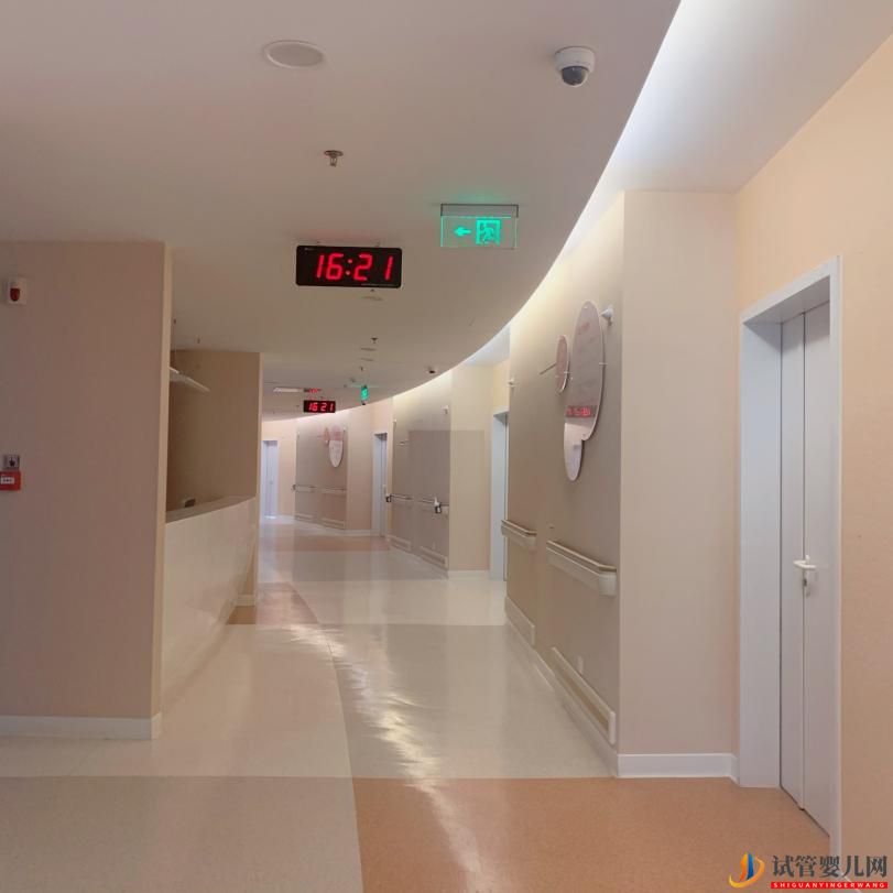 在公立醫院做三代試管嬰兒要花多少錢(圖2)