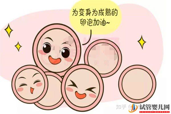 試管嬰兒一代至三代到底有什么樣的區別(圖2)