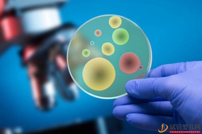 詳細解答第三代試管嬰兒需要多少錢(圖3)