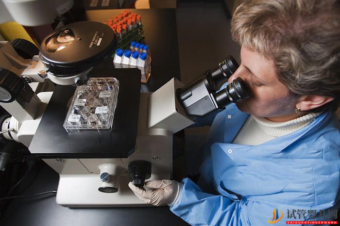 試管嬰兒成功率，重點全部在女方嗎？(圖1)