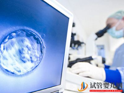 試管嬰兒移植什么樣的胚胎成功率高(圖1)