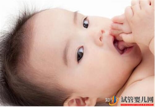 試管嬰兒雙胞胎的成功率是多少概率提升但不宜隨意選...(圖2)