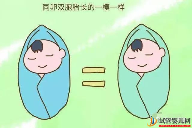試管生雙胞胎后悔了通過試管嬰兒生下的雙胞胎長(zhǎng)得...(圖2)
