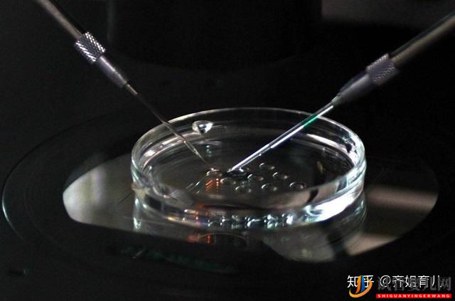 國內首例“試管嬰兒”,如今已32歲,生活狀況在眾人...(圖5)