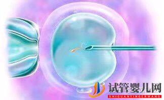 很多人說試管嬰兒可能不會是自己親生的(圖2)