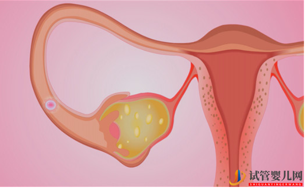 流血不止別亂吃黃體酮，內膜3.7mm想懷孕正確治療是關鍵(圖1)
