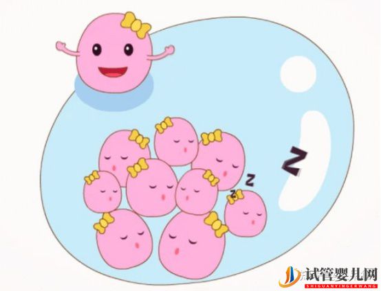 試管嬰兒成功率是怎么計算的(圖4)