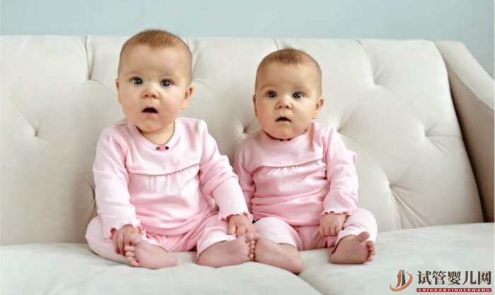 試管嬰兒龍鳳胎費用(圖1)