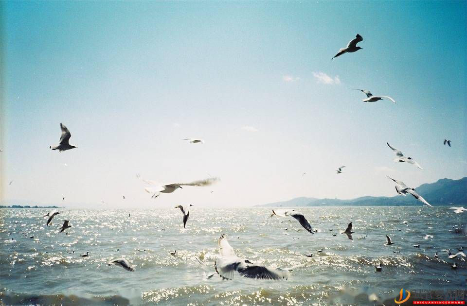 云南昆明與湖南長沙的全年來看，誰更強(qiáng)？(圖2)