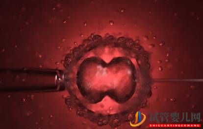 人工授精和人工受孕是一回事兒么？可能多數人理解錯了，了解下！(圖2)