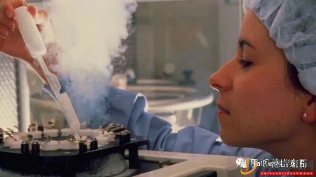 試管嬰兒網(wǎng):你知道嗎凍卵的難度到底在哪里(圖5) 你知道嗎凍卵的難度到底在哪里(圖4)