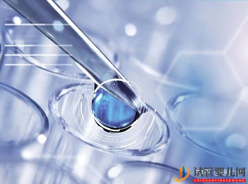 做試管嬰兒成功率有多高帶你走進(jìn)試管嬰兒的世界(圖1)