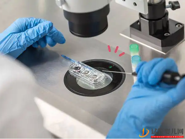 試管嬰兒在交通事故十日后流產,損失怎么賠(圖2)