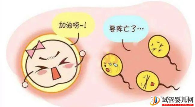 無精子癥就沒辦法要自己的寶寶了嗎(圖1)