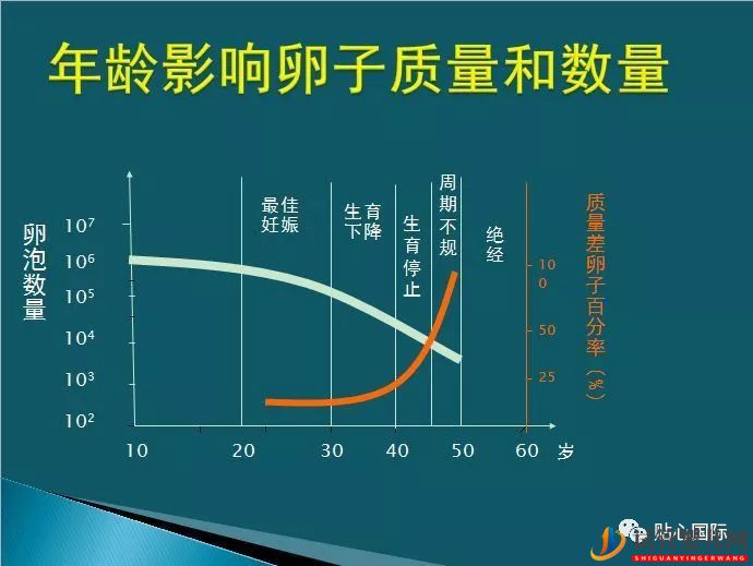 年齡是影響試管嬰兒受孕率主要因素嗎？(圖2)