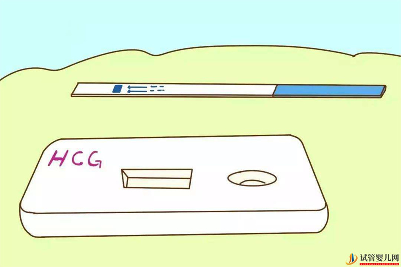 胖多囊和瘦多囊該怎么調理？想去做試管嬰兒可以嗎？(圖1)