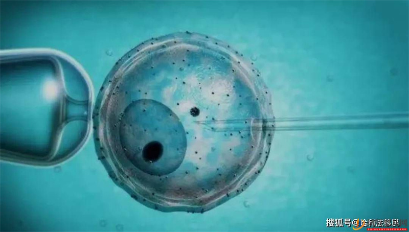 試管嬰兒成功率超高的原因竟是(圖1)