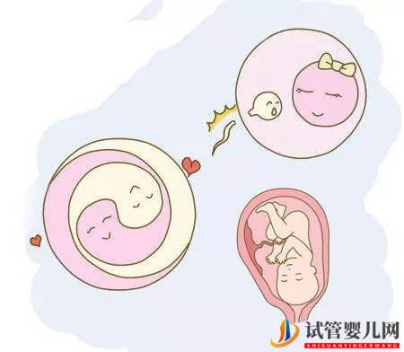 試管移植后，怎樣保胎才科學(xué)？(圖1)