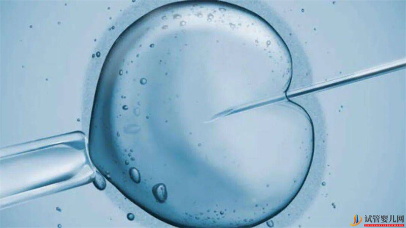 試管嬰兒更聰明但容易得癌癥？(圖1)