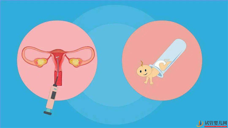 試管嬰兒更聰明但容易得癌癥？(圖2)