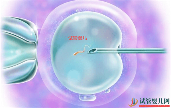 試管嬰兒和自然懷孕的寶寶會有區(qū)別么(圖1)