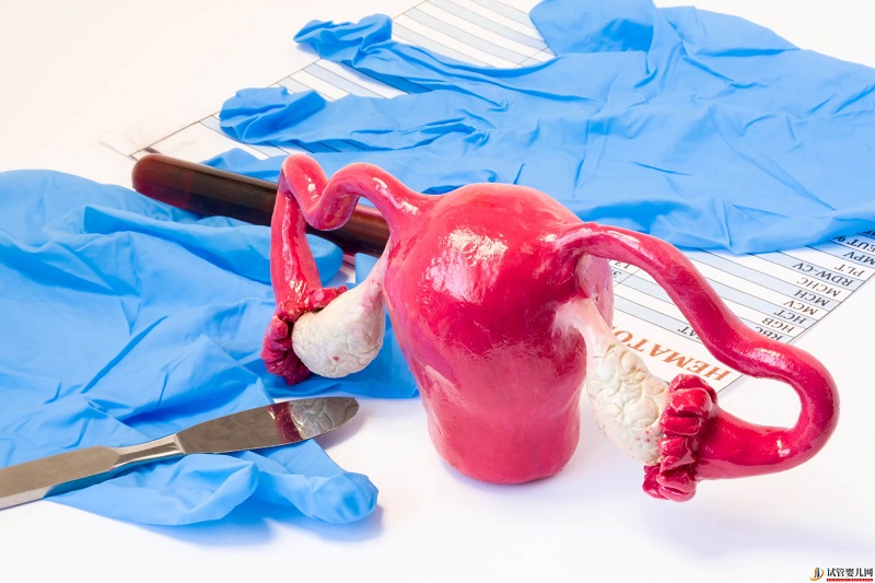 西藏1家試管嬰兒醫院排名、成功率與費用是否醫保報銷？(圖1)