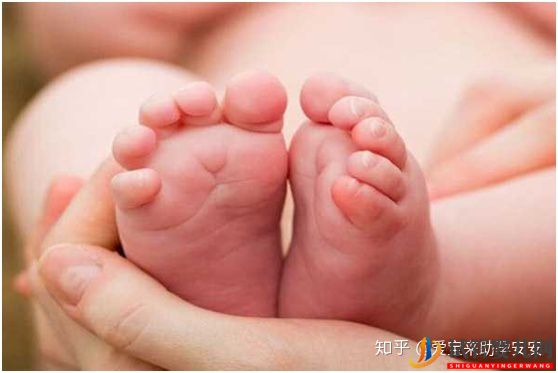 試管嬰兒血型是隨父親還是母親(圖1)