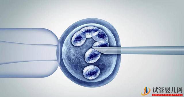 試管嬰兒真的不同嗎?體質(zhì)、壽命、智商等,恐怕讓某些人“失望”(試管嬰兒費用大概要多少錢)(圖2) 試管嬰兒真的不同嗎?體質(zhì)、壽命、智商等,恐怕讓某些人“失望”(圖2)