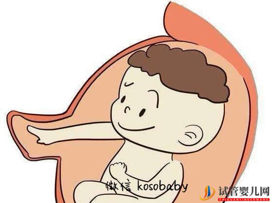 是什么原因導致女性不排卵，這樣情況能做試管嬰兒嗎(圖1)