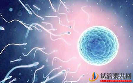 無(wú)精癥,還能生出自己的孩子嗎(圖2)