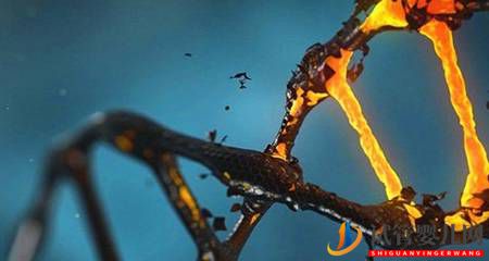 研究發現：基因突變可以促進肝損傷后的再生(圖2)