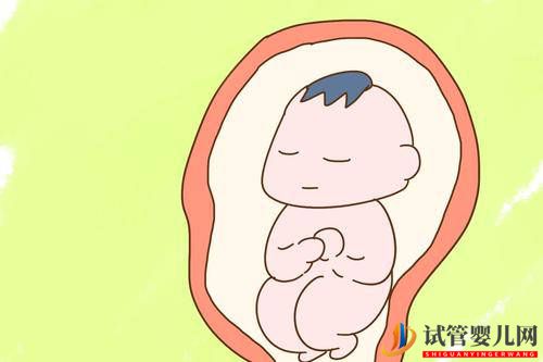 在進入試管周期前日常飲食應該怎么吃？(圖1)