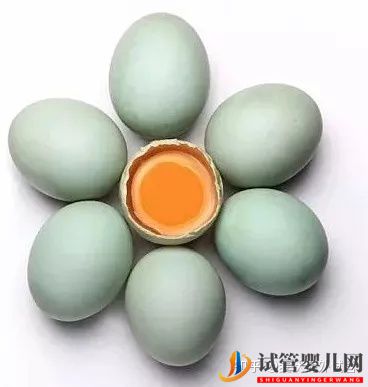 美國(guó)IVF無(wú)痛取卵的過(guò)程(圖1)