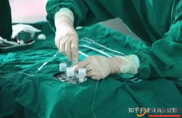 美國(guó)IVF無(wú)痛取卵的過(guò)程(圖3)