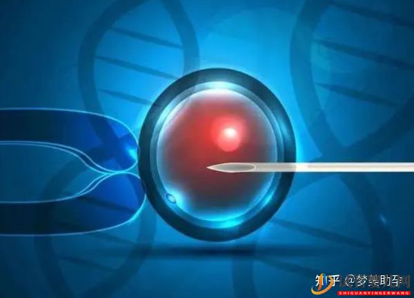 美國第三代試管嬰兒成功率是多少詳解操作流程(圖2)