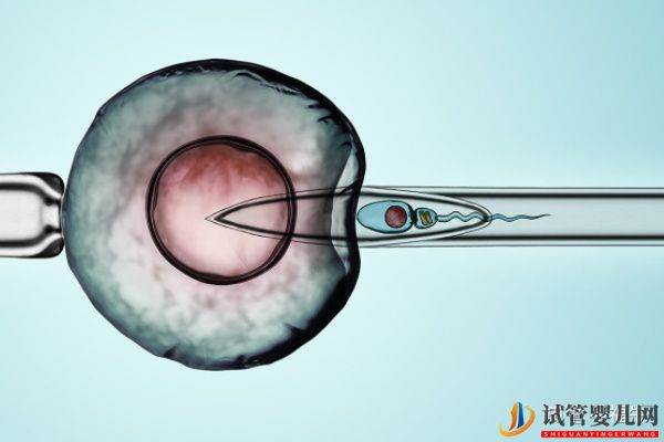 美國HRC試管專家解析三代試管嬰兒技術(shù)的優(yōu)缺點(diǎn)(圖4)
