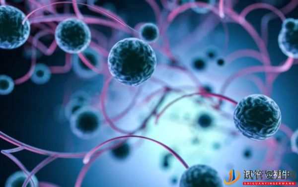 美國HRC試管專家解析三代試管嬰兒技術(shù)的優(yōu)缺點(diǎn)(圖6)