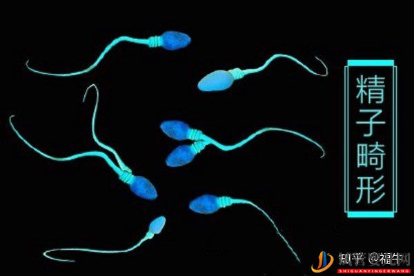 美國HRC試管專家解析三代試管嬰兒技術(shù)的優(yōu)缺點(diǎn)(圖5)