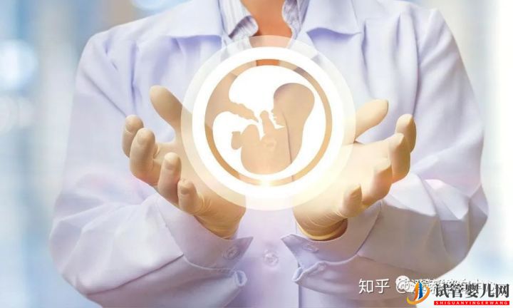 俄羅斯試管嬰兒為什么能包生男孩呢(圖2)