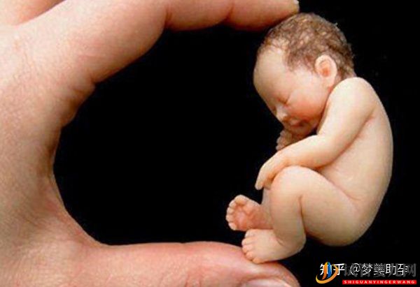 美國試管胚胎移植幾個最好呢(圖3)