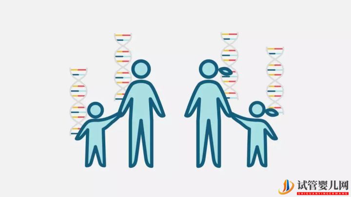美國試管嬰兒PGS和PGD到底有什么區別(圖1)